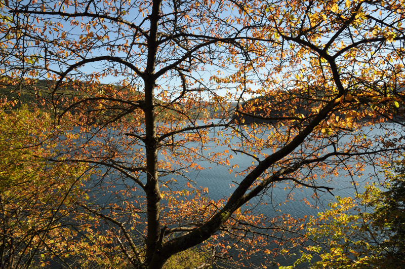 Urftstausee